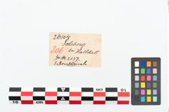 Etikett zu Bronzespiralröhrchen (NHMW-PRAE-026104)